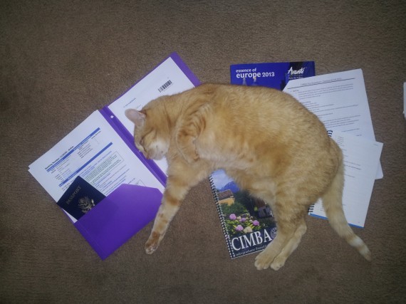 My cat, Tiger, helping again by laying on all my papers.