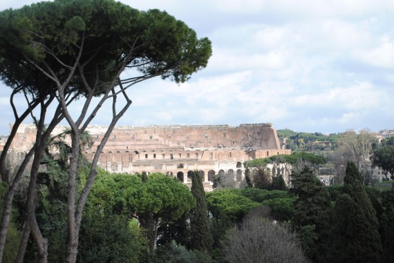 View of the Coliseum from Palatine Hill